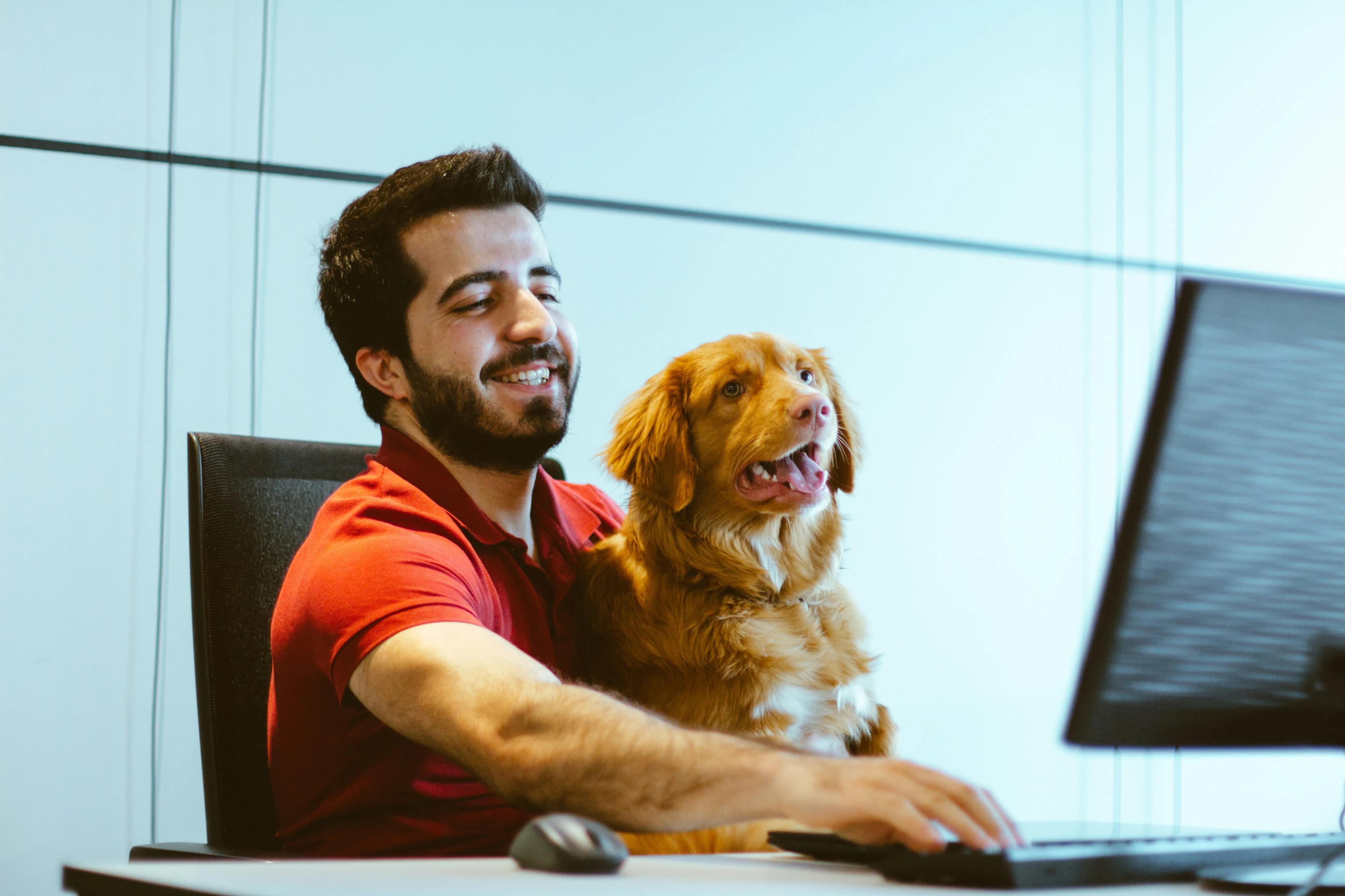 Pet Grooming License Dubai: UAE Setup Guide 2026